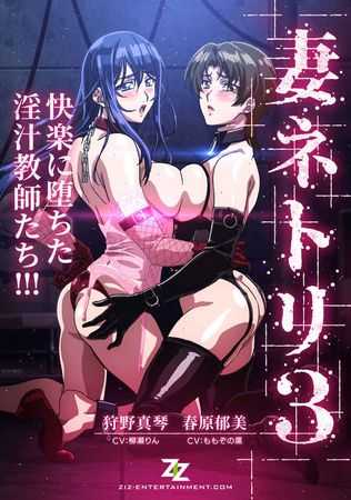 妻ネトリ3 ～快楽に堕ちた淫汁教師たち～HD版